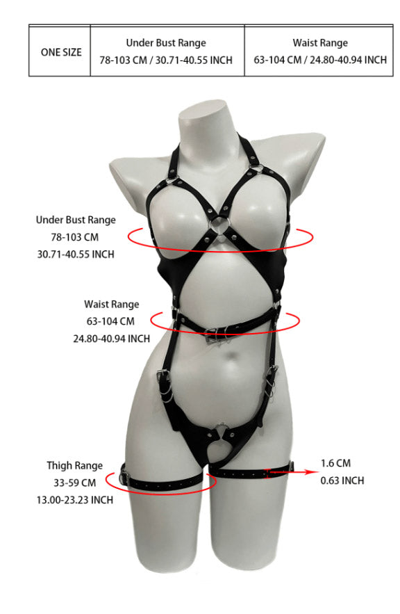 Teddy Harness Lingerie - PureDiva